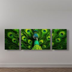 Set I - 3 Piece Canvas Set